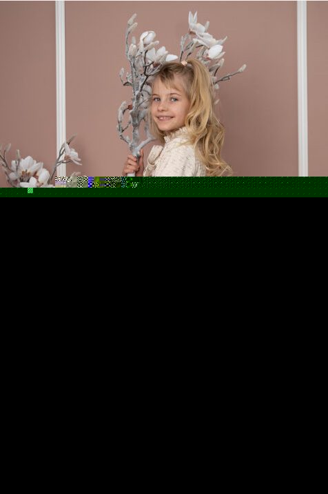 Dziewczęce rajstopy ze wzorem bocznym -motyle z lurexem #Iris DR2204